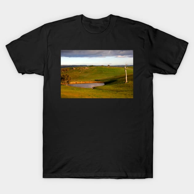 Waterhole T-Shirt by jwwallace